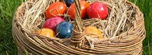 800px -Eastereggs _ostereier